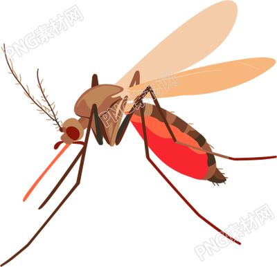 蚊子昆蟲(chóng)插畫(huà)