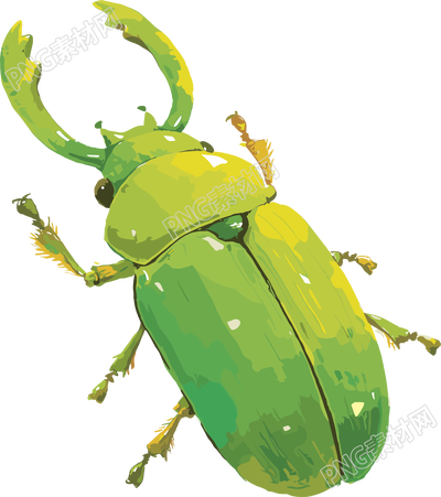 牛角蟲(chóng)昆蟲(chóng)插畫(huà)素材