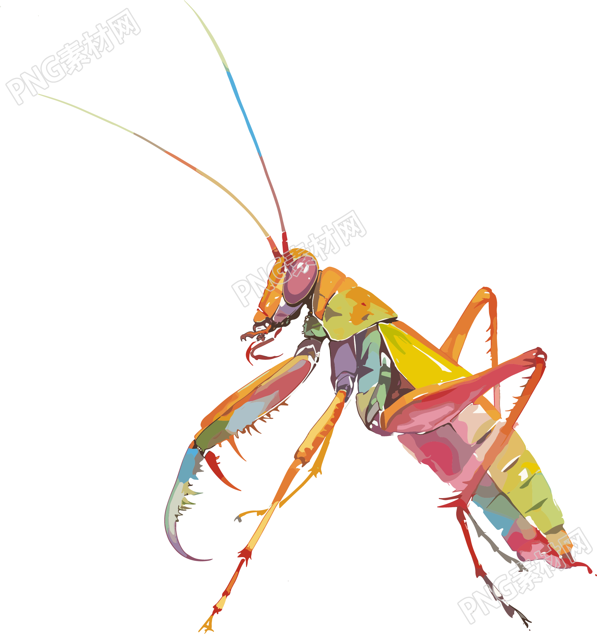 蚂蚱昆虫插画素材