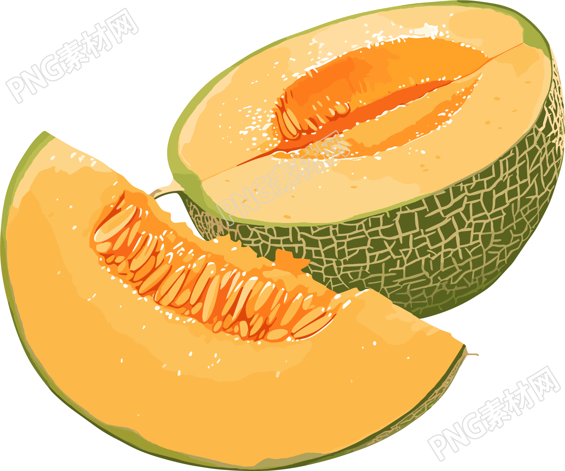 新疆哈密瓜插画设计
