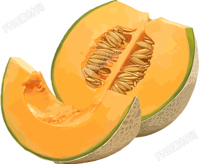 新疆哈密瓜插圖