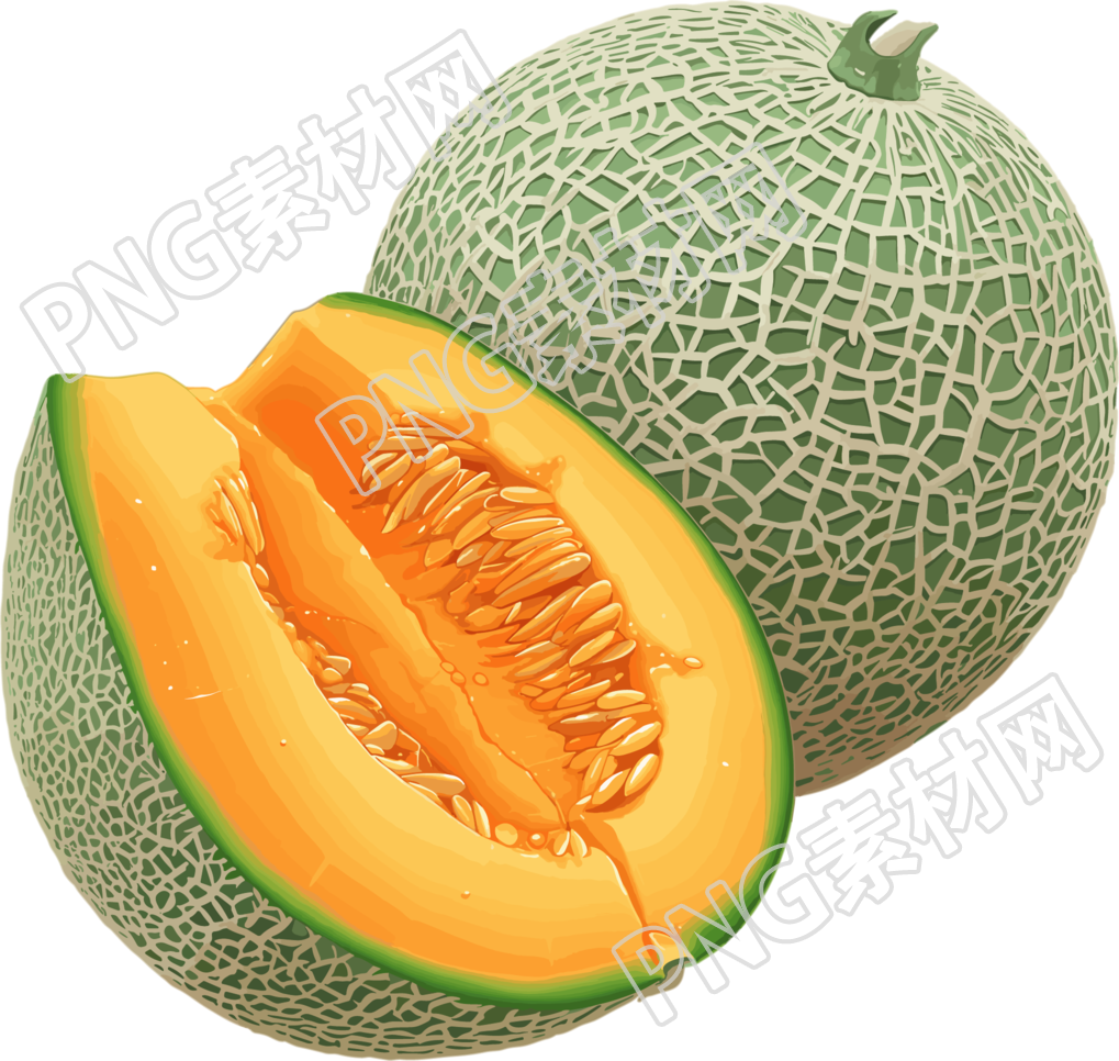新疆哈密瓜素材