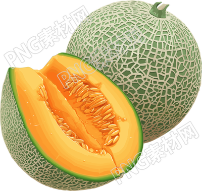 新疆哈密瓜素材