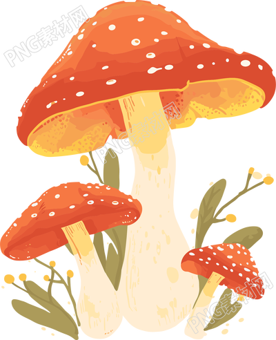 蘑菇透明背景插画