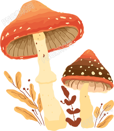 蘑菇矢量插图