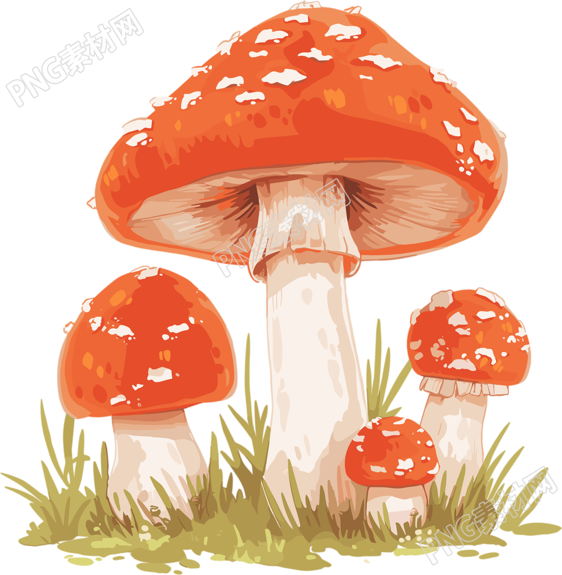 蘑菇高清插画
