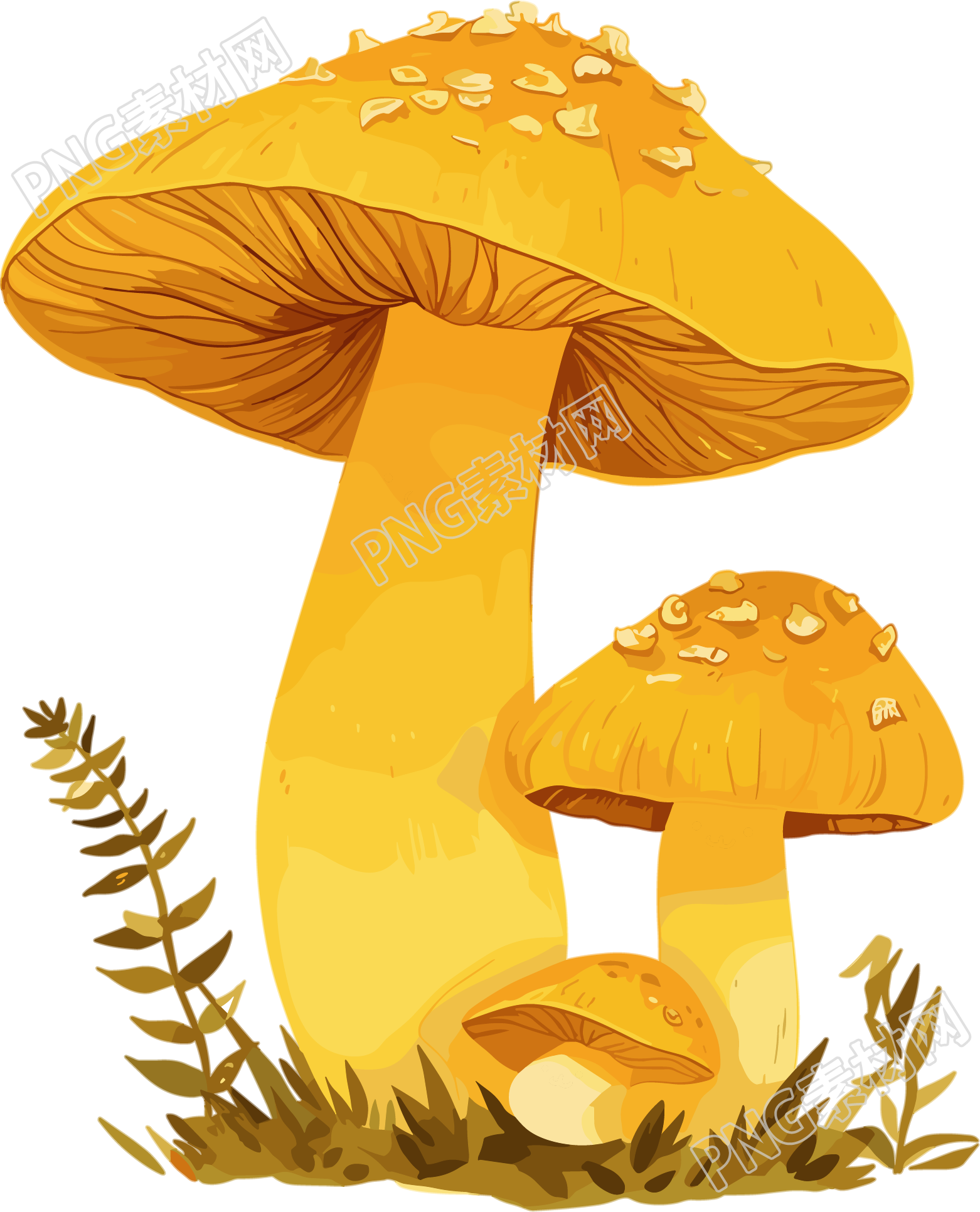 蘑菇插画素材
