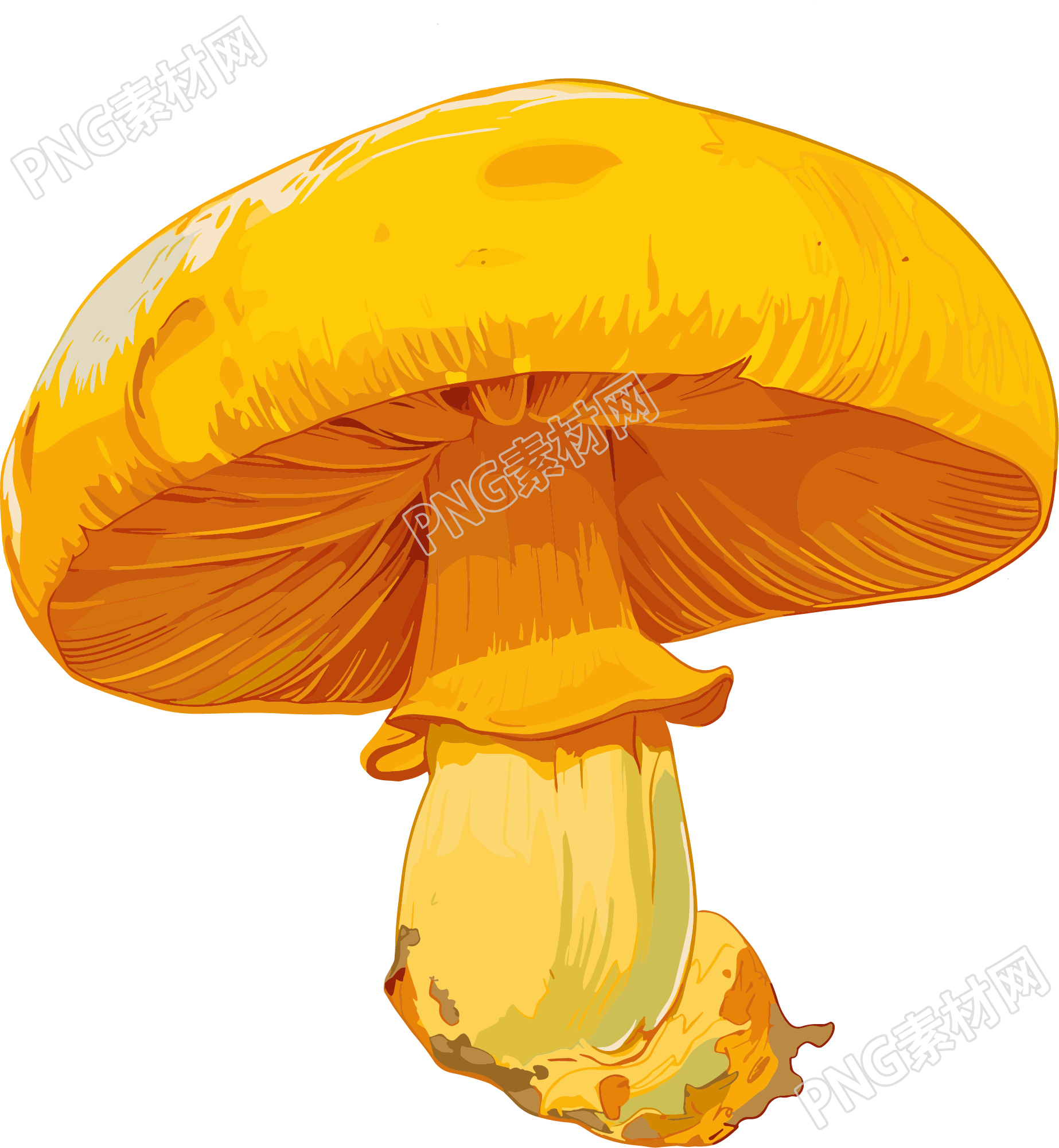 蘑菇插画设计元素