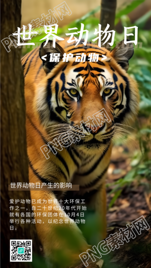 世界动物日森林中的东北虎实景手机海报