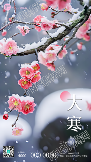 24节气大寒蜡梅实景宣传手机海报