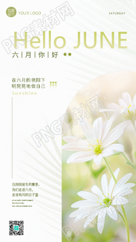 六月你好小雏菊极简风手机海报