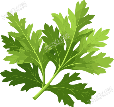 艾草简洁设计元素