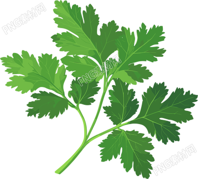 艾草插画设计素材