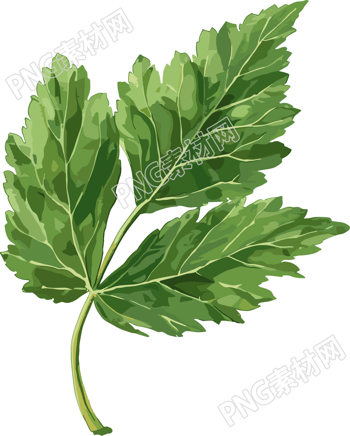 艾草创意素材