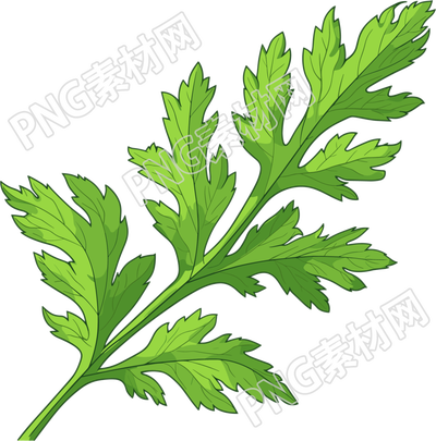 艾草高清插画