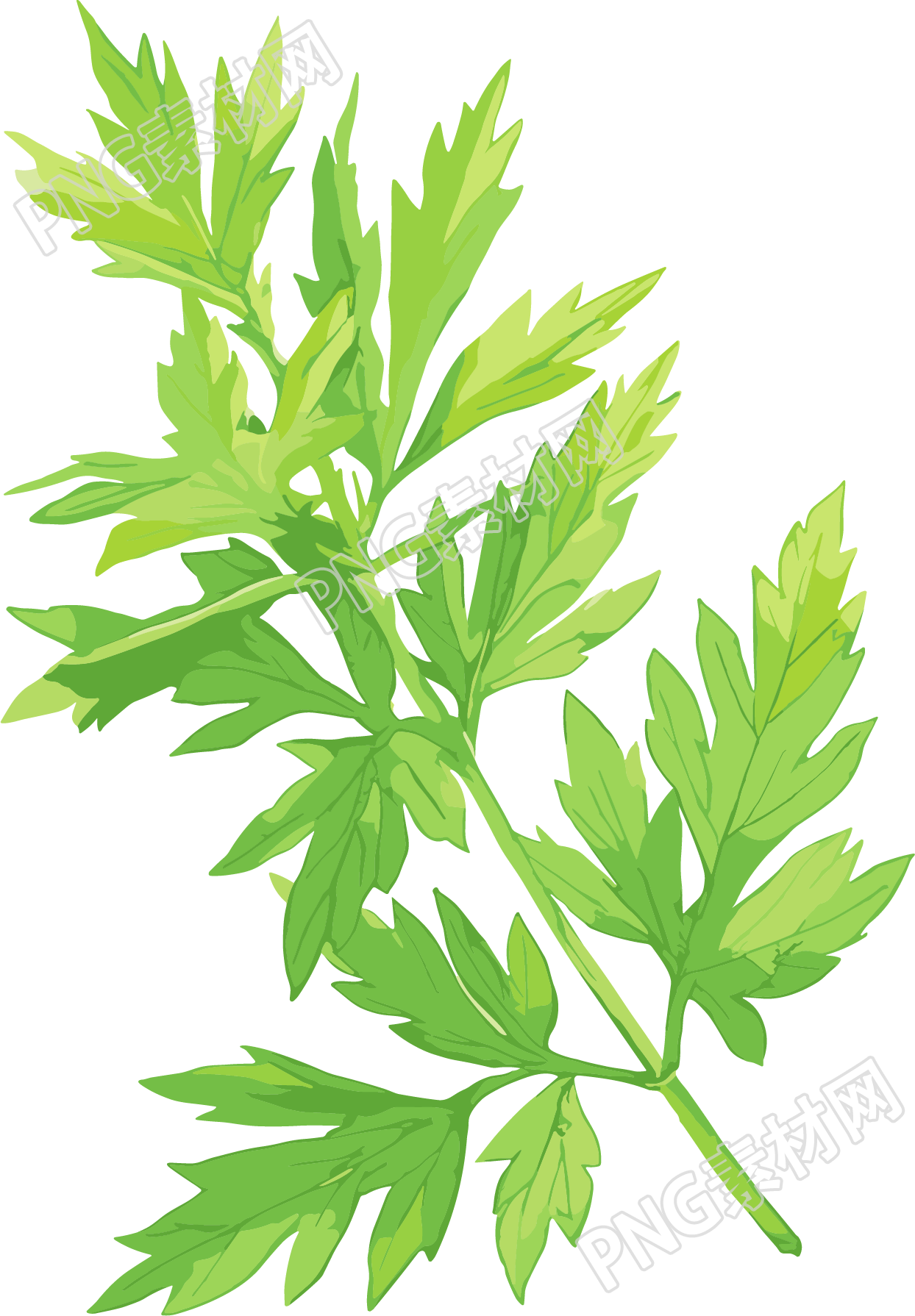 艾草平面设计元素