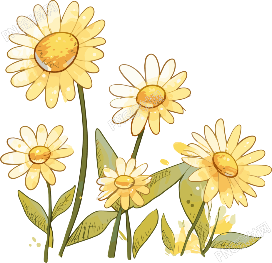 菊花插画设计元素