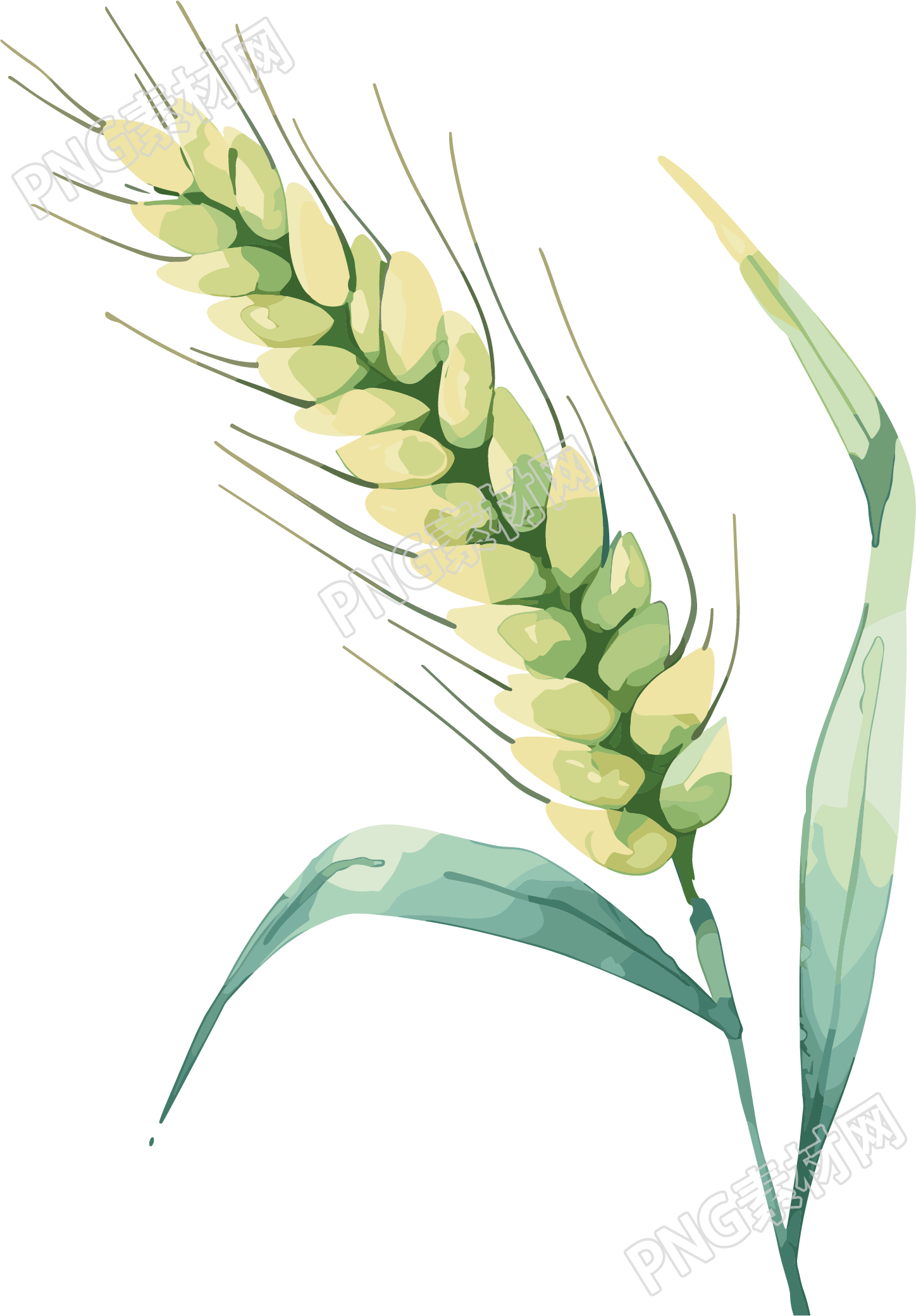 小麦卡通插画芒种元素