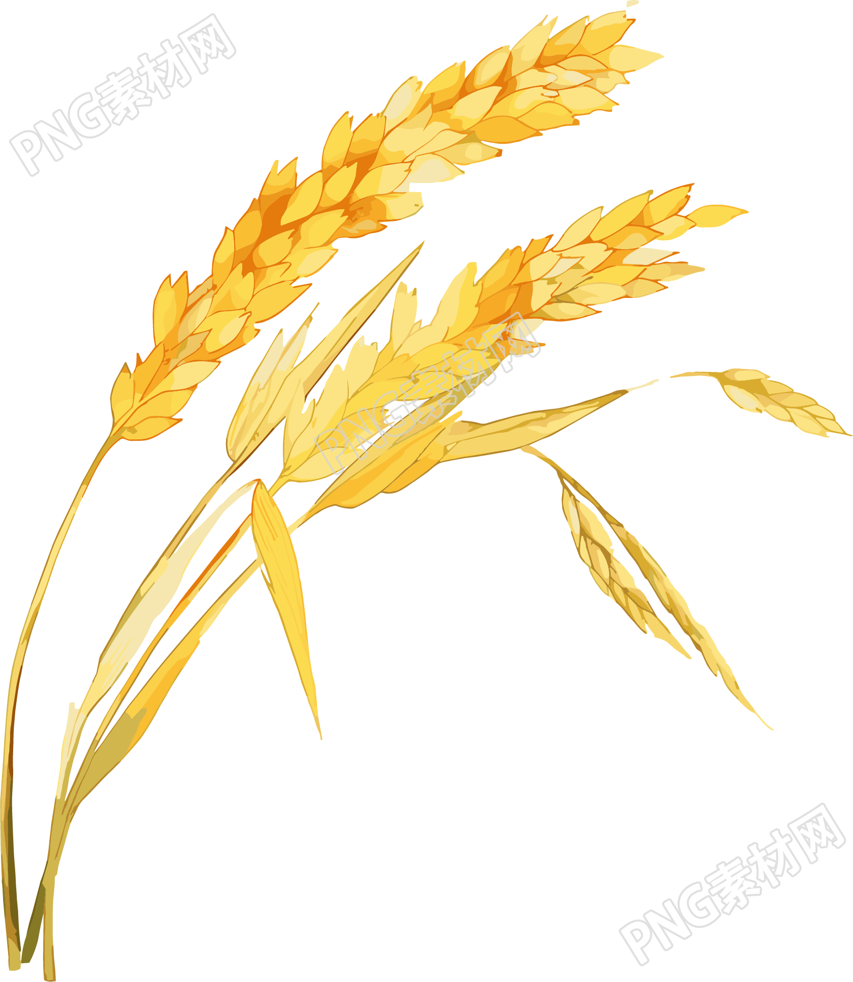 小麦卡通风格芒种素材