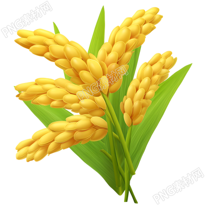 3D小麦穗简约素材