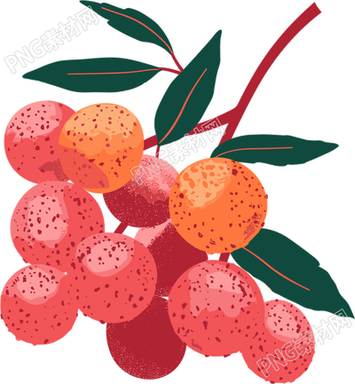 荔枝平面插画