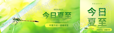 今日夏至蜻蜓实景公众号封面图