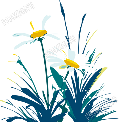 雏菊向量插画素材