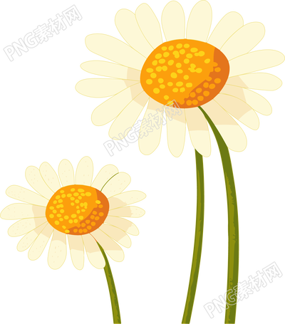 雏菊花瓣插画