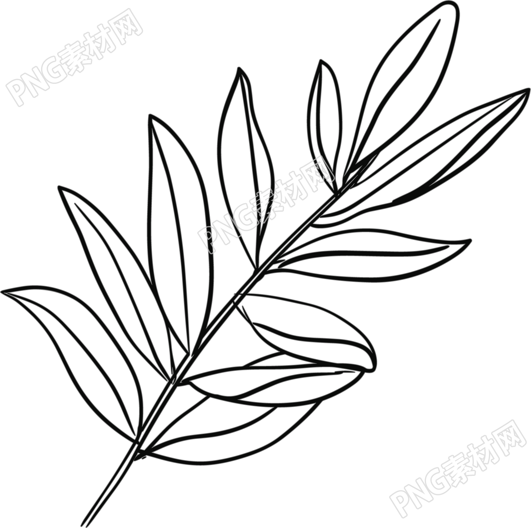 线条植物树叶插画素材