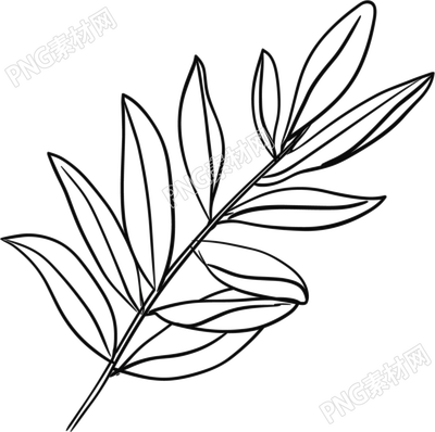 线条植物树叶插画素材