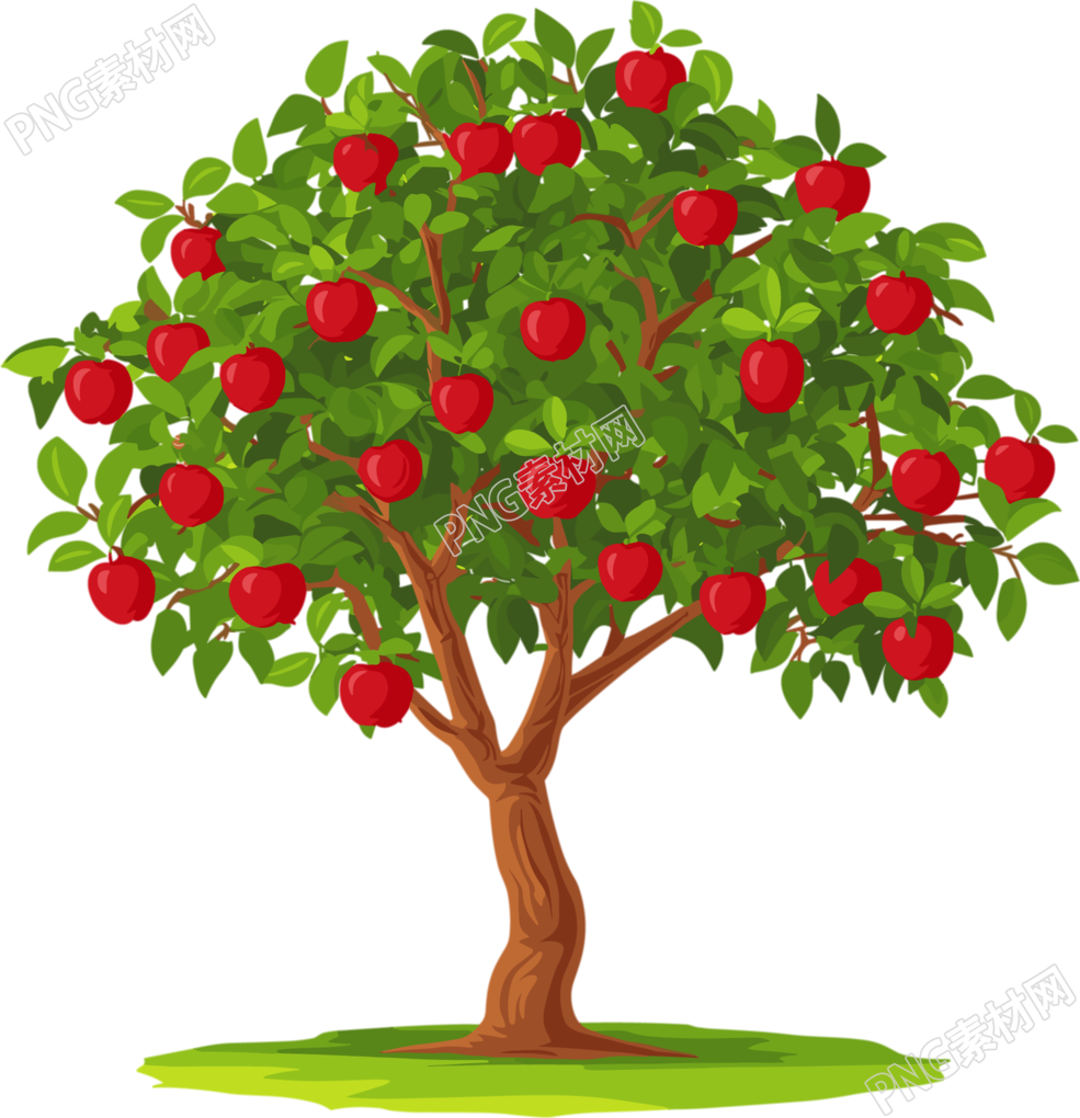 苹果树矢量PNG插图