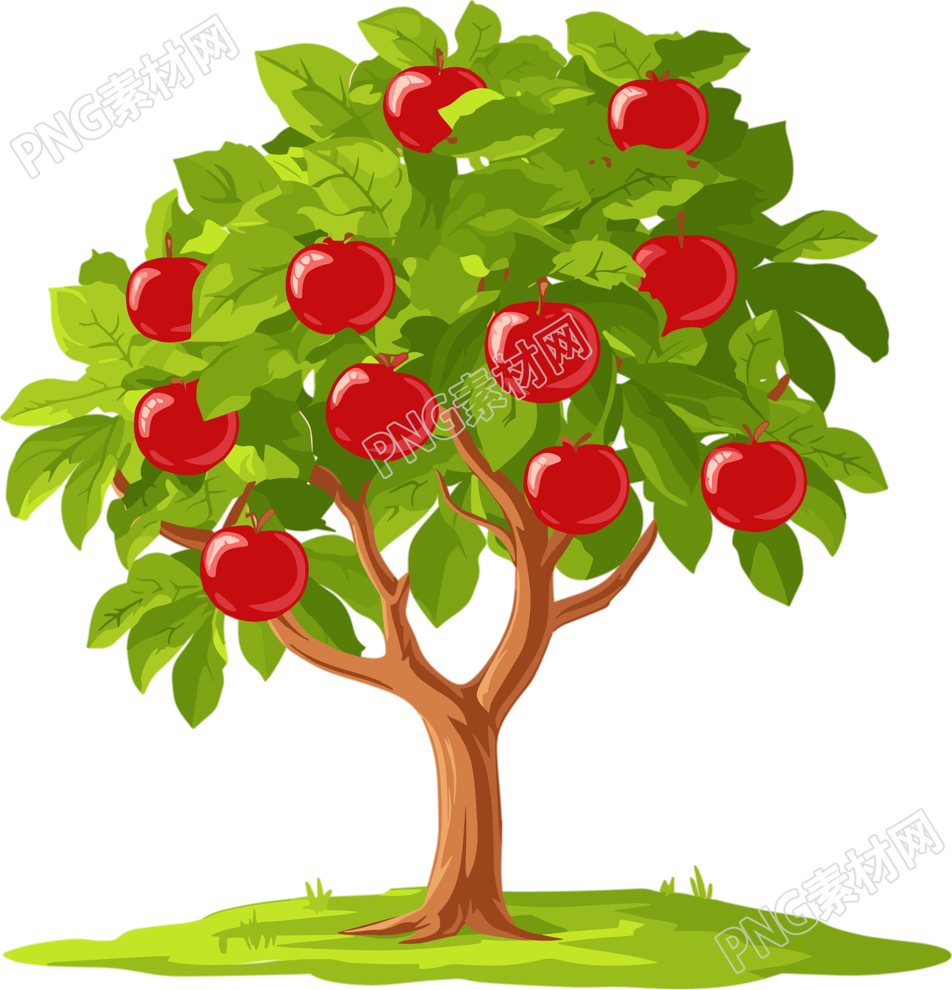 苹果树卡通插画