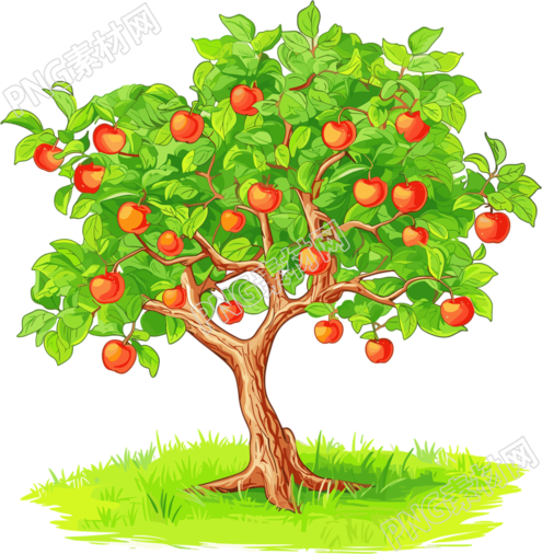 苹果树简单插图
