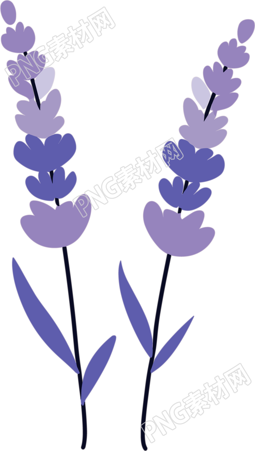 薰衣草插画设计元素