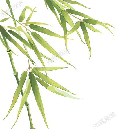 竹叶高清素材