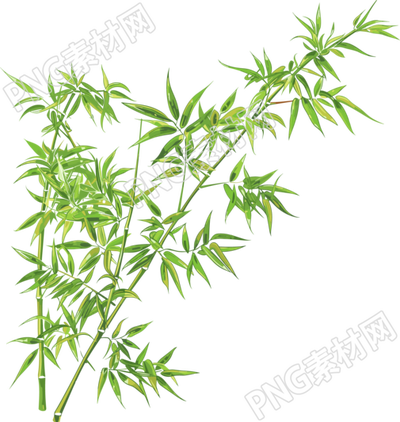竹叶插画图形素材