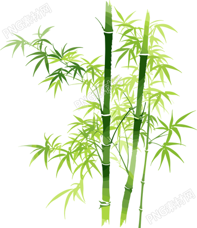 竹子矢量插图
