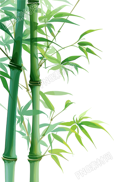 竹子简洁素材
