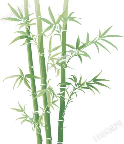 竹子PNG图形素材