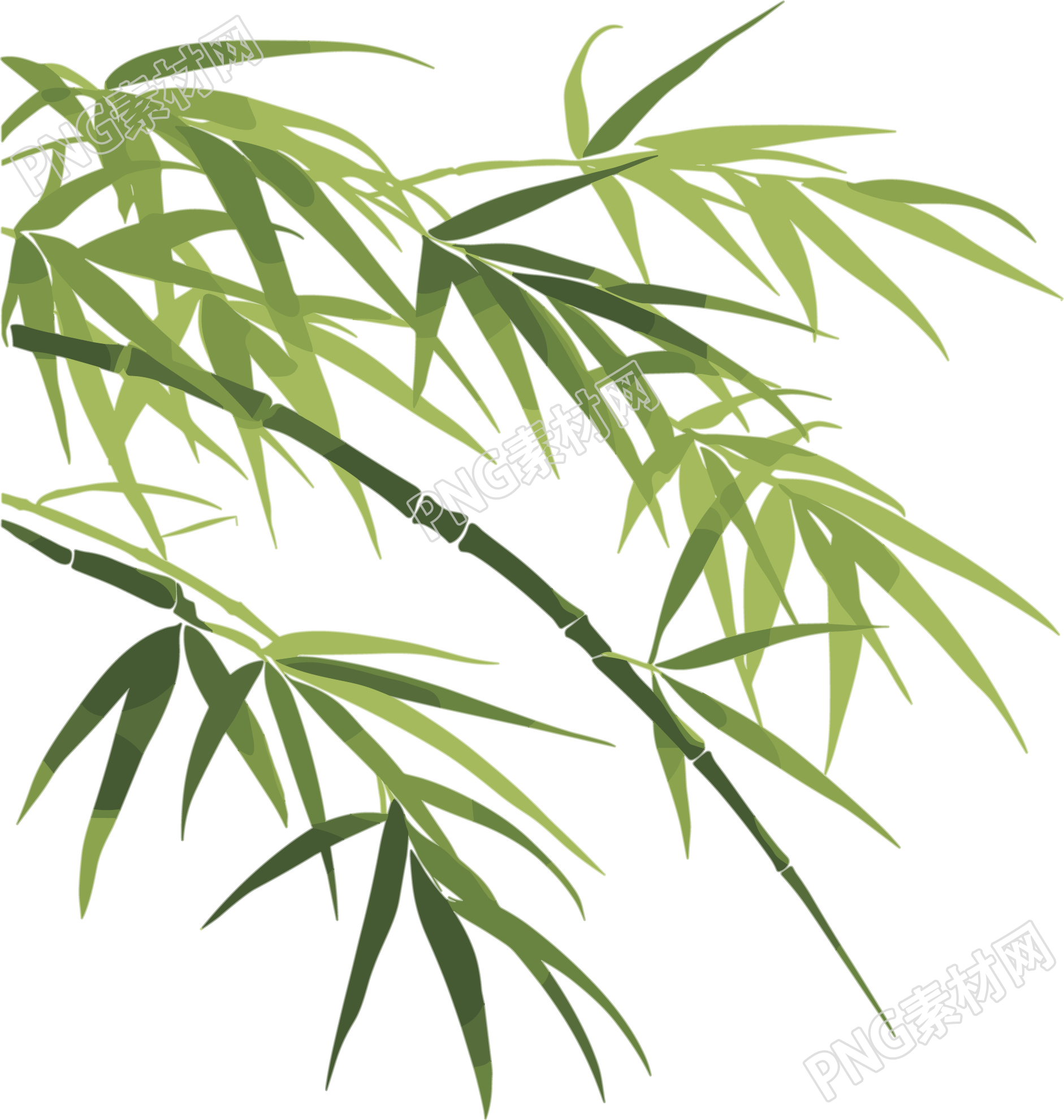 竹叶插画设计元素