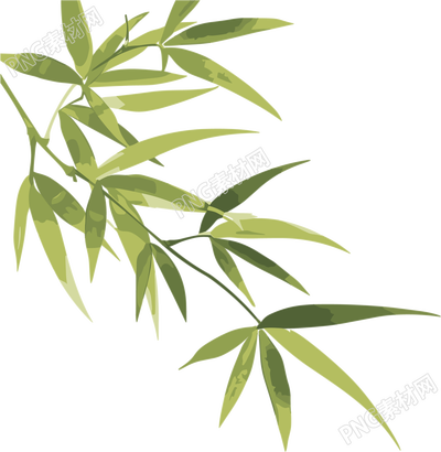 竹叶矢量插画