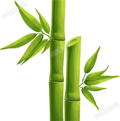 竹子透明背景素材