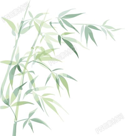 竹叶竹子插画