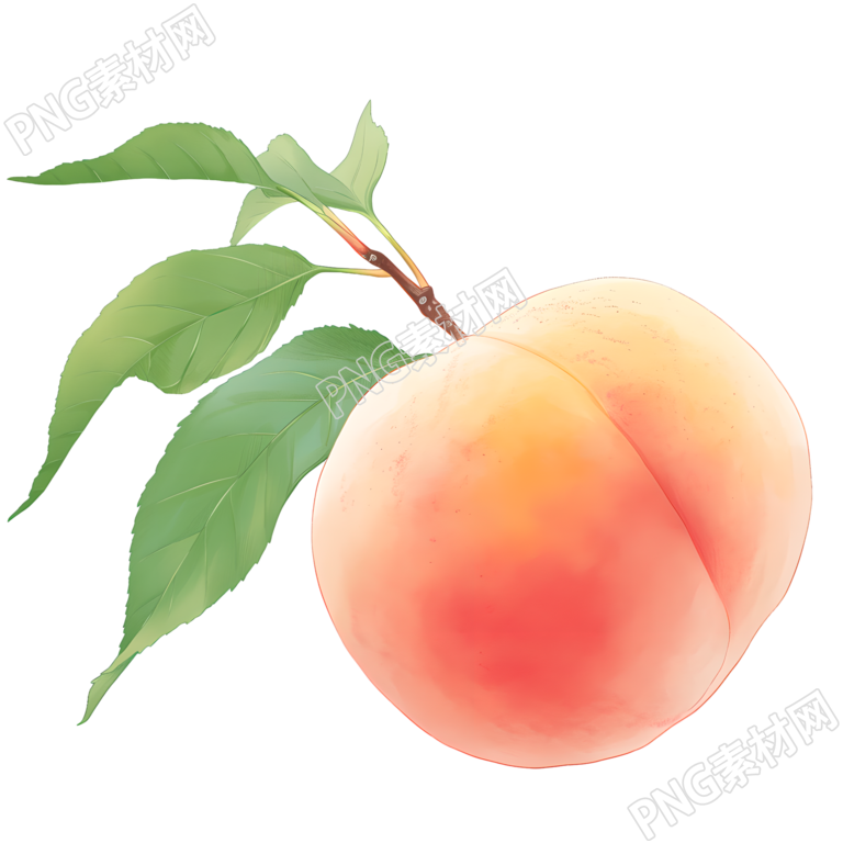 桃子可商用插图