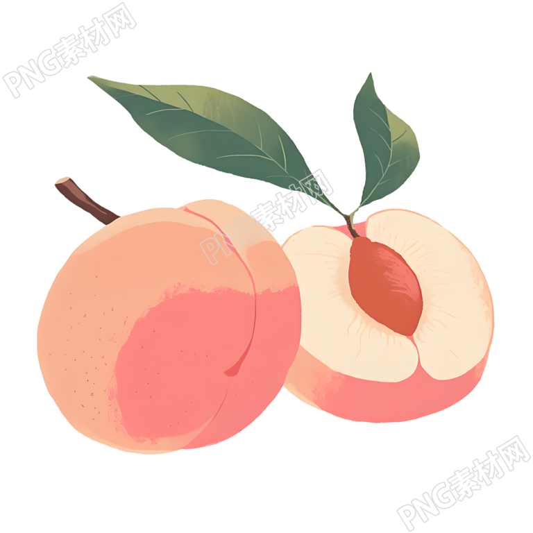 桃子矢量插图