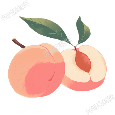 桃子矢量插图