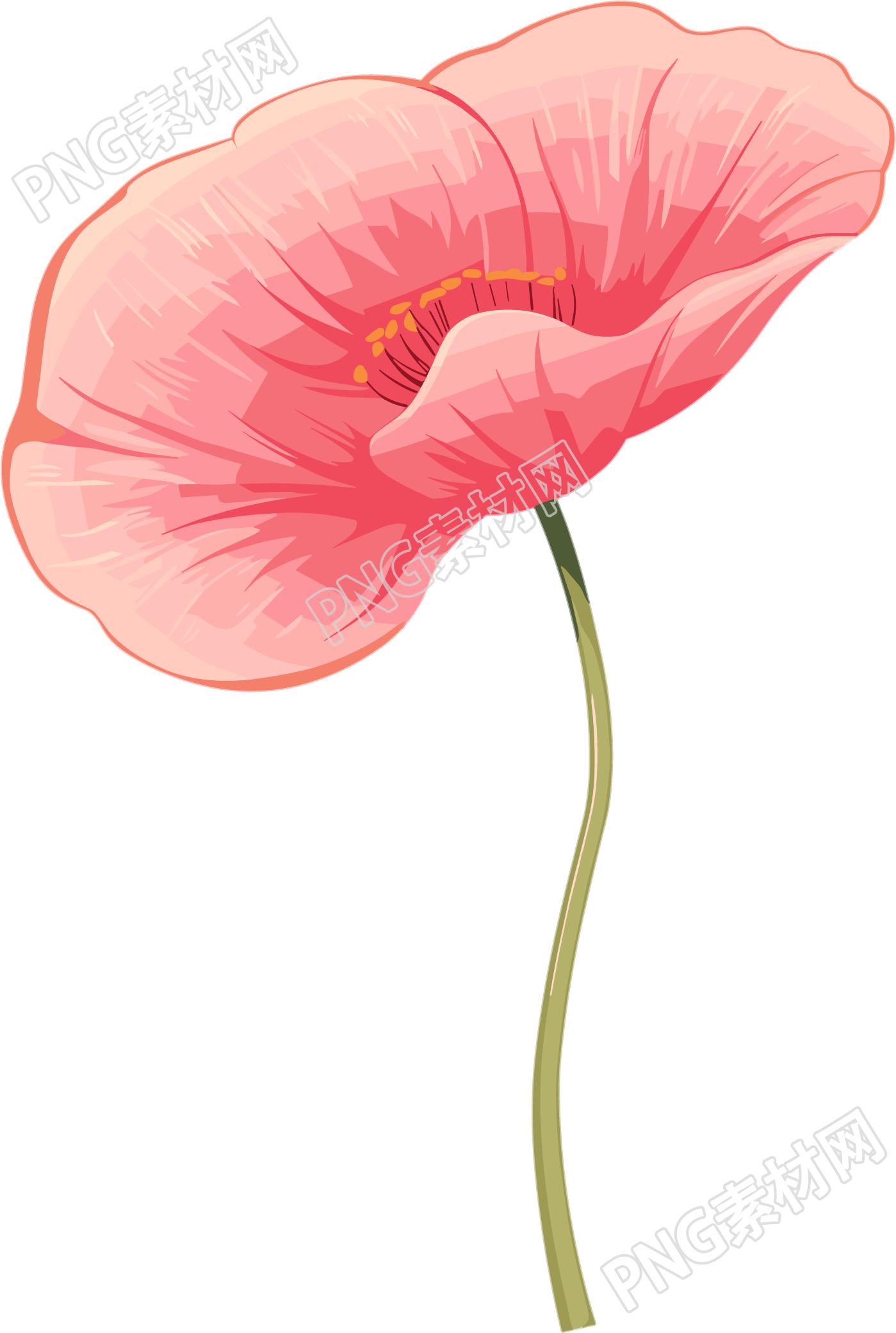禁毒罂粟花瓣插画