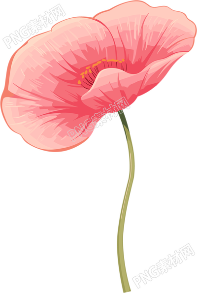 禁毒罂粟花瓣插画