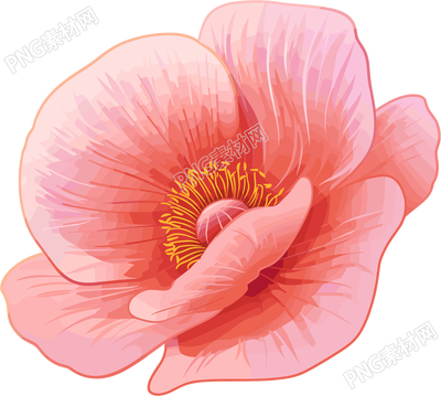 禁毒罌粟花瓣插圖