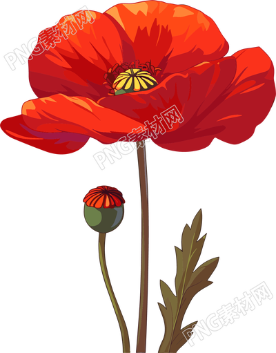 禁毒罌粟花紅色插圖